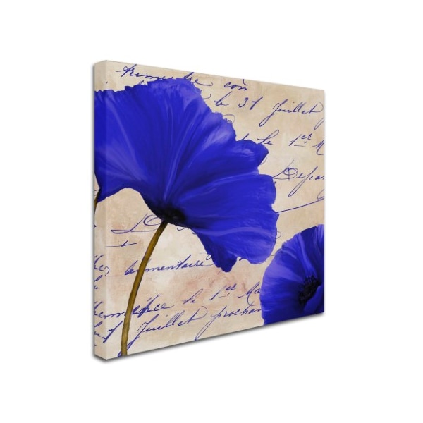 Color Bakery 'Coquelicots Bleues II' Canvas Art,18x18